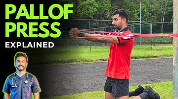 Pallof Press Tutorial - Strengthen Core and Prevent Back Pain