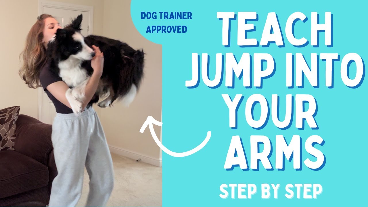 How To Teach Your Dog To Jump Into Your Arms (6 EASY STEPS!)