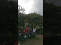 damai dan tenang  nyaman di paropo silalahi