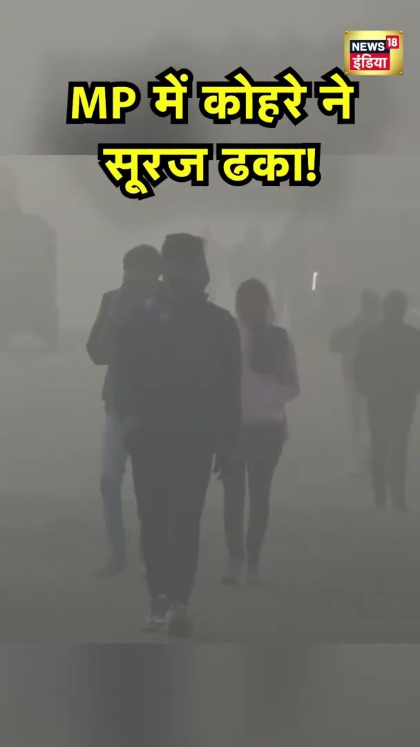 मध्य प्रदेश में सड़कों पर छाया घना कोहरा | MP Winter News | Winter News | Weather News