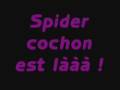 Spider cochon