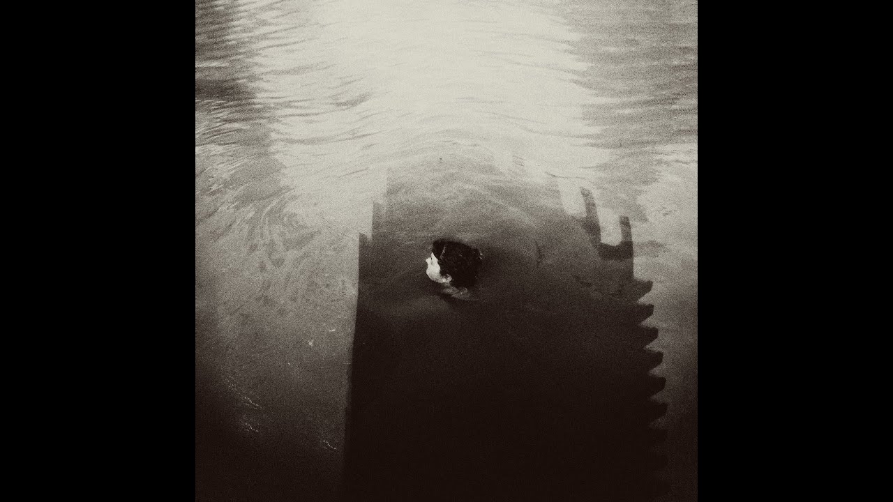 Bardino "Ressonancia"