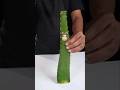 Unique Made Aloevera Juice Life Finish #funny #food #viral #shorts