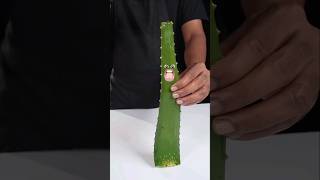 Unique Made Aloevera Juice Life Finish #funny #food #viral #shorts