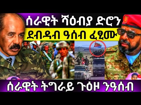 አወል ሚስጥር ፅምዶ ኣቃሊዑዎ ሻዕብያ ንትግራይ አጠንቂቁ ሰራዊት ትግራይ ንዓሰብ Tigraynews Zenatigrigna