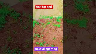 new villege vlog @fixlove new villege vlog @fixlove