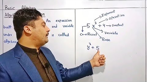 Polynomials in Urdu/Hindi | What is polynomial | Polynomial definition in Urdu/Hindi | Basic algebra