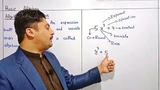 Polynomials in Urdu/Hindi | What is polynomial | Polynomial definition in Urdu/Hindi | Basic algebra