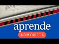 APRENDER A TOCAR ARMONICA | Pimeros Pasos