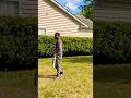 Ophsz : How to Shrub Trim #ophspringz #landscaping #lawncare #fyp
