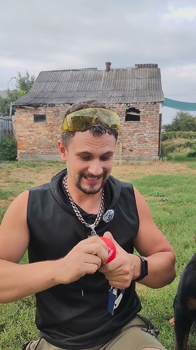 Новинка від ВауДог 😎 Чекаю на, Вашу підтримку 🤝💪 ️ #waudog #іграшка # ...