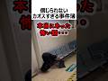 信じられないカオス事件簿