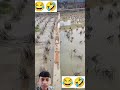 જમવા જાવાની તૈયારી #funny #ગુજરાતી_કોમેડી