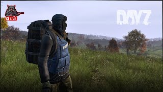 ЩО ТАМ ПО ЛУТУ? -  HOPELESS HARD PVE  | DAYZ UA