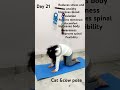 #cowpose #catpose #spinehealth #neckpain #backpainrelief