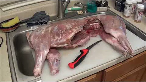 Whole Wild PIG On Traeger Smoker. Smoke, Cut, Serve!