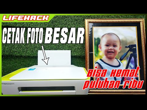 Video: 3 Cara Memupuk Chi