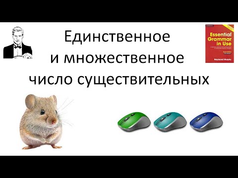 Единственное и множественное число существительных. Singular and plural.