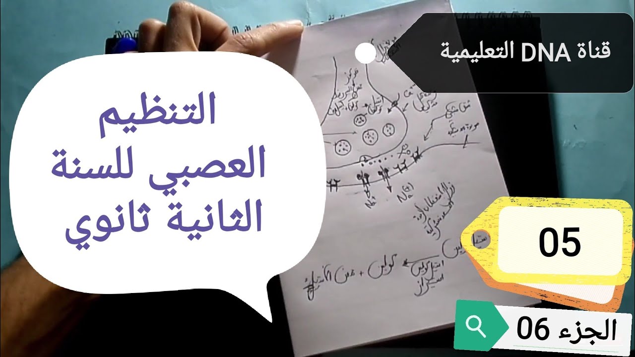 التنظيم العصبي 2 ثانوي