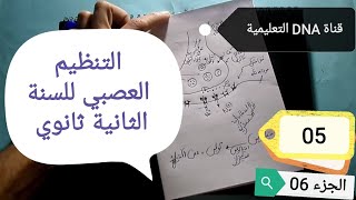 التنظيم العصبي 2 ثانوي