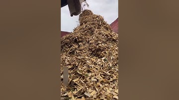 Amazing process of making paper from bamboo