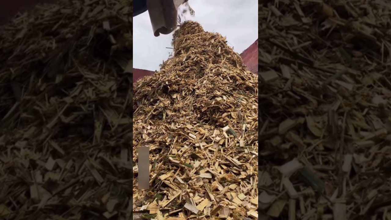 Amazing Process Of Making Paper From Bamboo