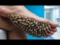 ASMR TRIGGER SOUNDS STOP MOTION ANIMATION @relaxoasmrofficial