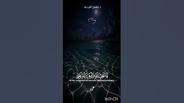 تلاوة مؤثرة للشيخ ياسر الدوسري 💚 #quran #قرآن #تلاوة_خاشعة #انشر_تؤجر #اكسبلور #لايك #راحة_نفسية
