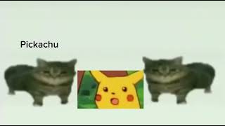 This Is A Pickachu