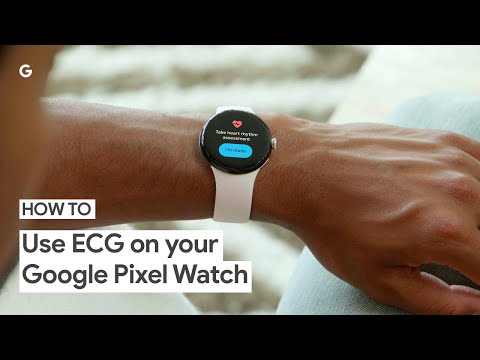 How to Use ECG on Your Google Pixel Watch