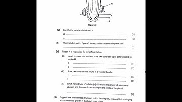 2021 BIOLOGY PAPER 2 (GROWTH AND DEVELOPMENT IN PLANTS)