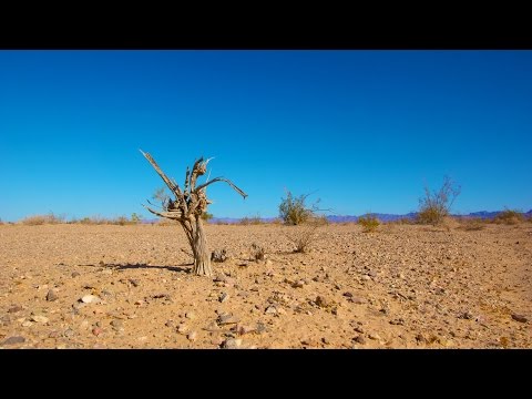 Video: Kuidas teisendada 24 -tunnine ajakirjutamissüsteem 12 -tunniseks aja süsteemiks