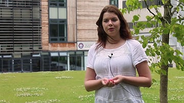 Dissertation - MSc Programmes in Theoretical Physics and Mathematical Physics