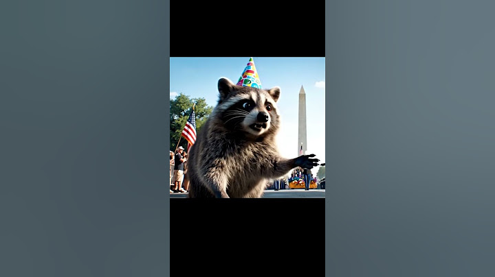 Trash Panda at DC Birthday Military Parade