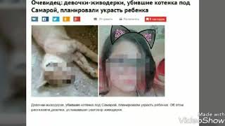 Sоs!!Самарские живодерки, убивали котят в прямом эфире!!!! Помогите найти белого котика!! Sоs!!Самарские живодерки, убивали котят в прямом эфире!!!! Помогите найти белого котика!!