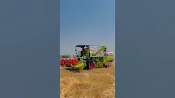 🦅🌪💫#combine #harvester #combinelover #vishal435