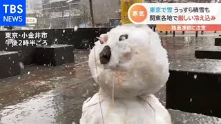 東京で雪 うっすら積雪も、関東各地で厳しい冷え込み【Nスタ】