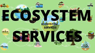 Ecosystem Services Mind map