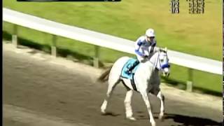 2017 Coca-Cola Stakes