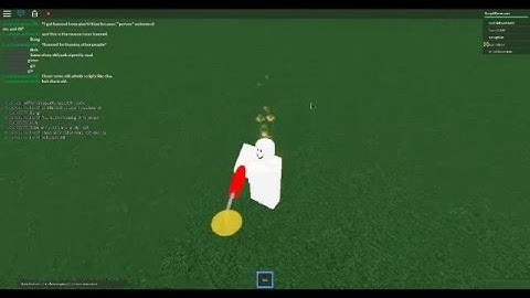 ROBLOX Voidacity SB: Trolling #1 (WTF)