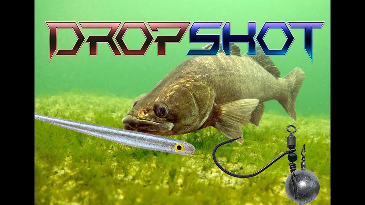 ДРОП ШОТ оснастка в городских "джунглях" - ловля судака в порту Риги поздней осенью!