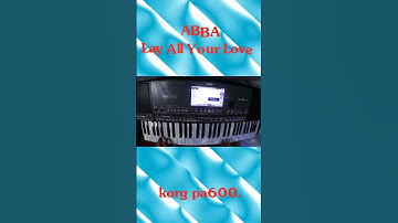 ABBA Lay All Your Love On Me Performed On korg pa600