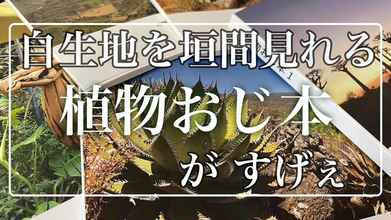 凄いぞ!!植物おじさん!!【植物おじ本】 - YouTube