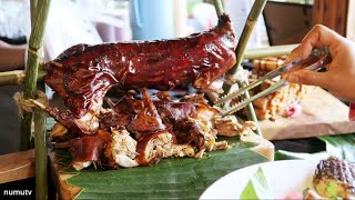 Filipino Food and Farm to Table Experience in LAGUNA | Calabarzon Culinary Caravan