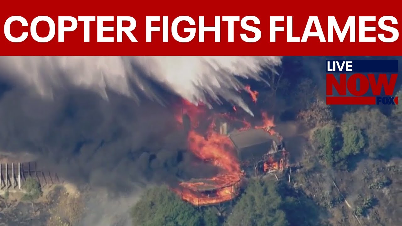 CALIFORNIA FIRES: Palisades fire causes home to burst into flames | LiveNOW from FOX