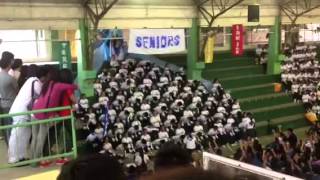 Seniors bench cheering