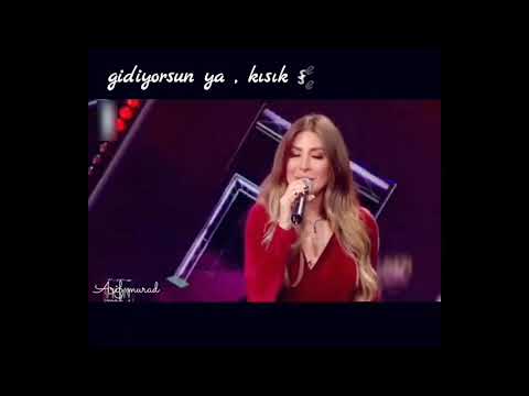 يارا بتروح لهون وبس    