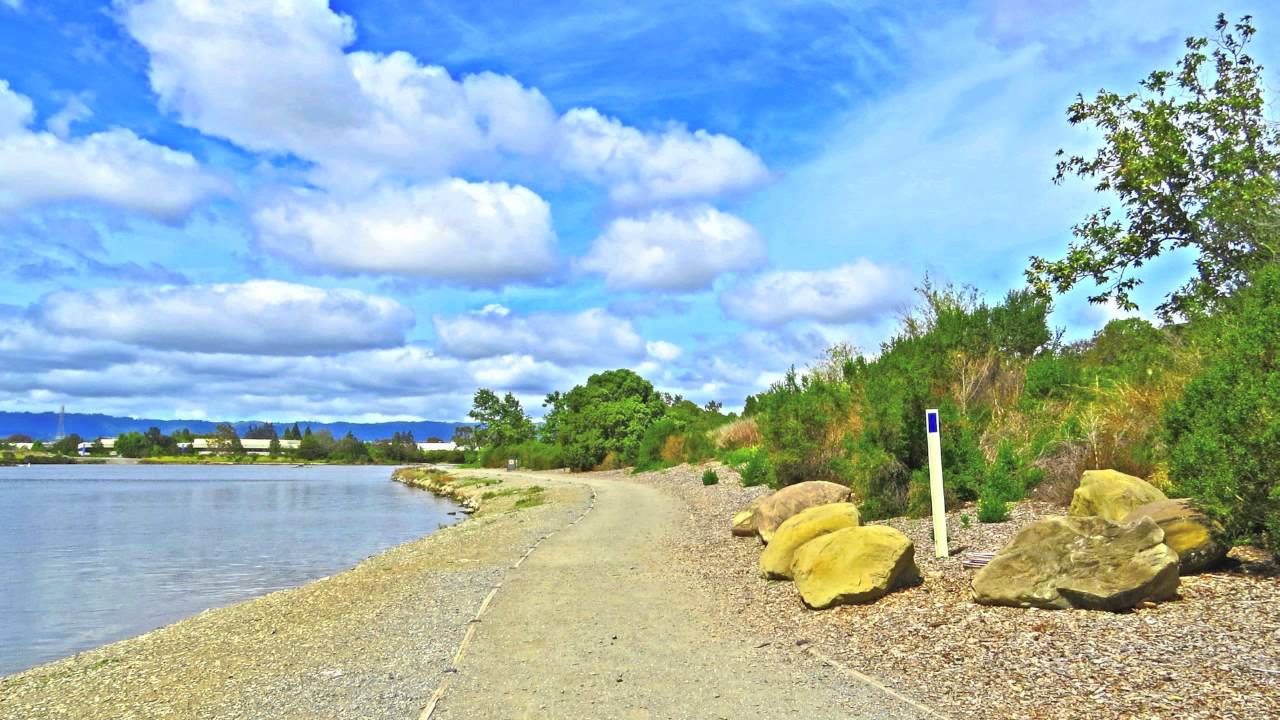 Shoreline Lake YouTube