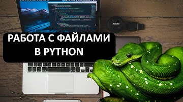 📂 Работа с файлами в Python | Чтение, запись, создание и удаление файлов простыми словами