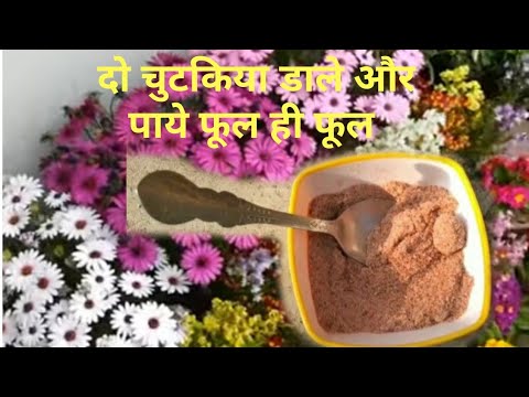 वीडियो: क्रिस्टल केप टैरेस